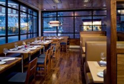 Area Around the Millennium